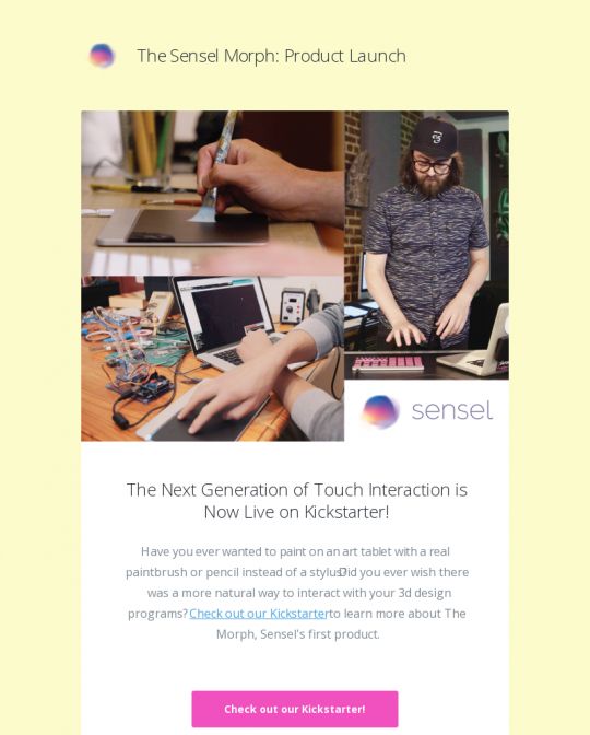 SENSEL Newsletter Design Example